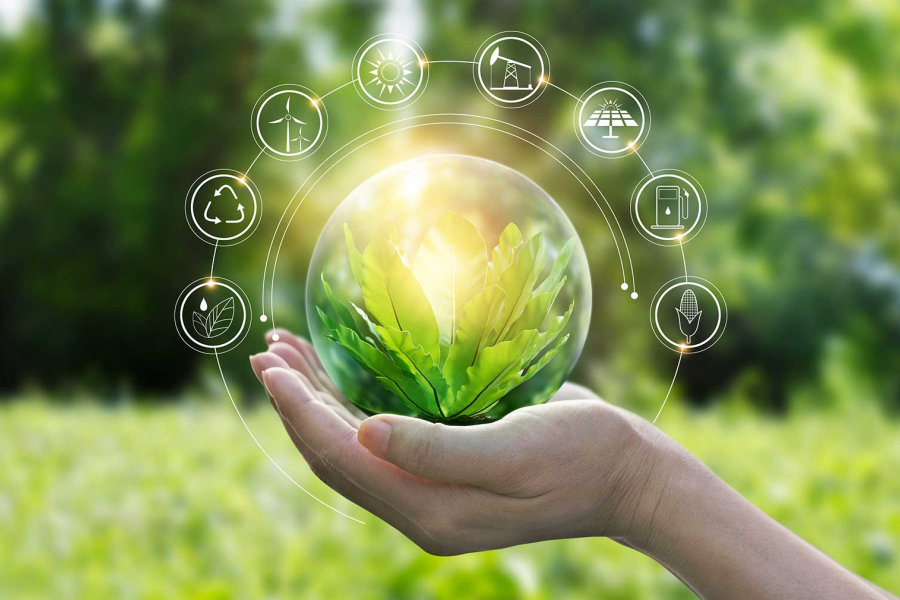 AP 環境科學 | Environmental Science