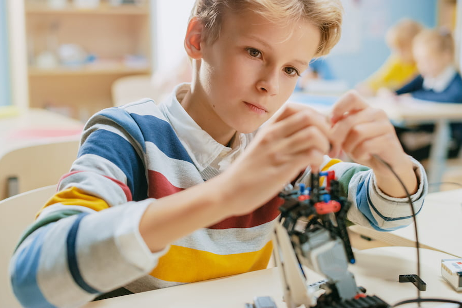 What service provides the best mentorship for unique research and passion projects?